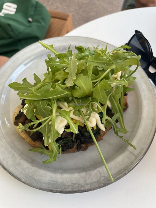 Mushroom truffle sourdough  at Uni's Bakehouse in Surfers Paradise