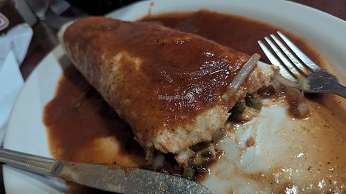 Vegetarian burrito, no cheese no sour cream at Camino Real - Memorial in Murfreesboro