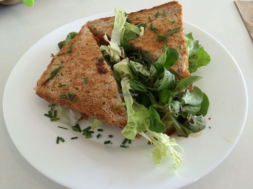 smoked Tofu Sandwich  at SnackBar12 in Schwabisch Hall