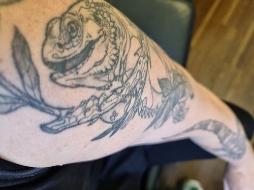 by Marlene/apricot ink at Hyperhuman Tattoo in Wien