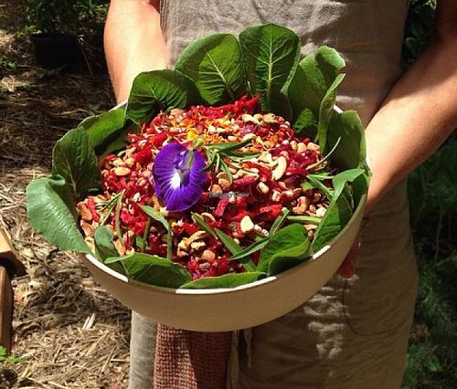Sunspace Seasonal Salad at Sunspace Cafe in Sunshine Coast