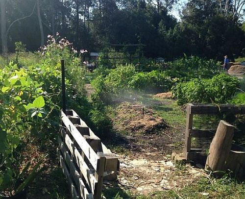 The Sunspace Garden at Sunspace Cafe in Sunshine Coast