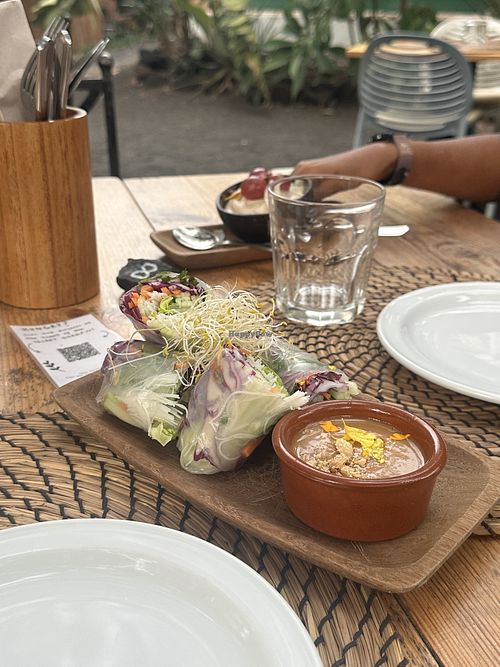 Summer rolls with peanut sauce  at Secret Garden by Surfescape in Fuerteventura
