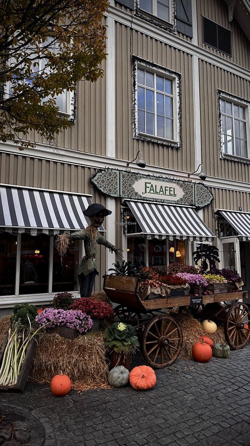  at Falafel in Gothenburg