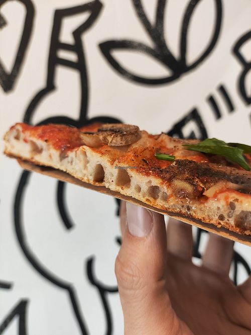  at Pizza Panzón in Brno