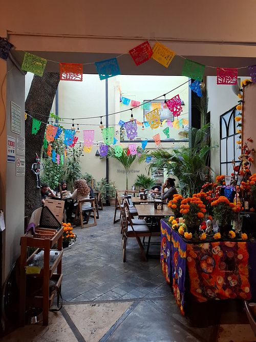 Terraza at Casa Kumbhaka in Mexico City