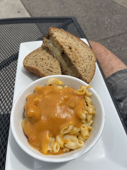   at The Vegetable Hunter Cafe and Boutique Brewery in Harrisburg