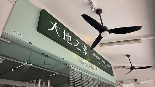  at Mother Earth Classic Vegetarian 大地之素 (Balestier) in Central Singapore