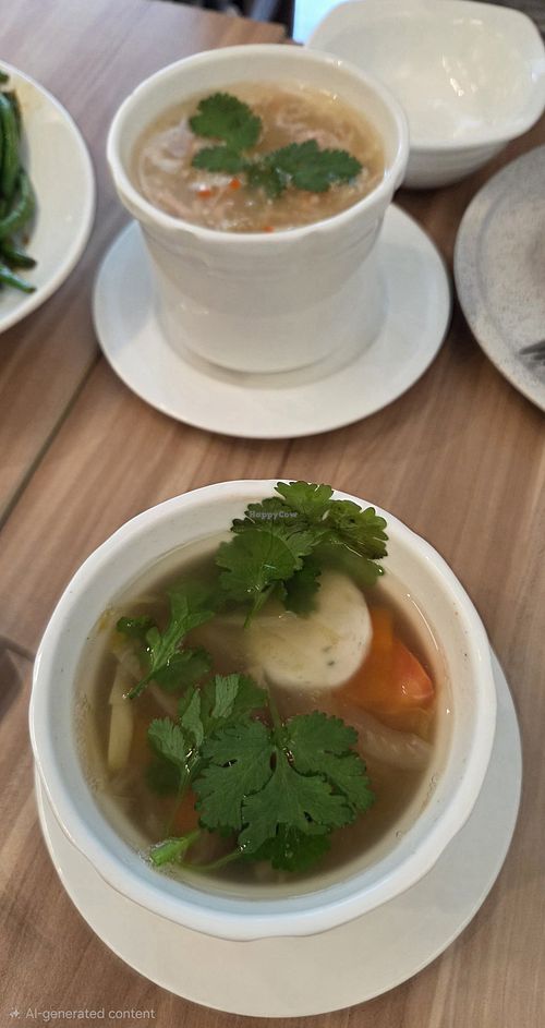 Classic “Say No to Shark’s Fins” Soup. Pig’s Tripe Pepper Soup w Preserved Salted Veg (served per bowl) at Mother Earth Classic Vegetarian 大地之素 (Balestier) in Central Singapore