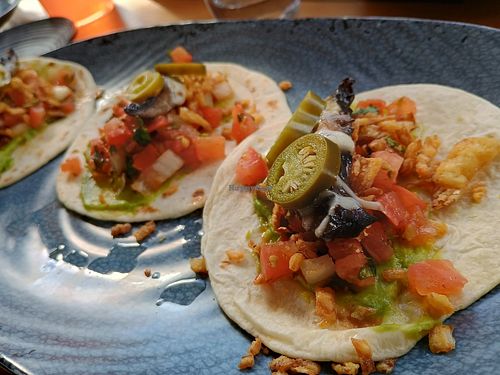 Portabello tacos at Shady Grove in Pittsburgh