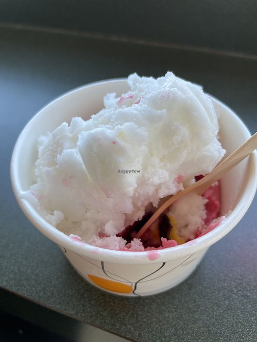 Sorbet au citron et framboise  at La Cremiere in Sainte-agathe-des-monts