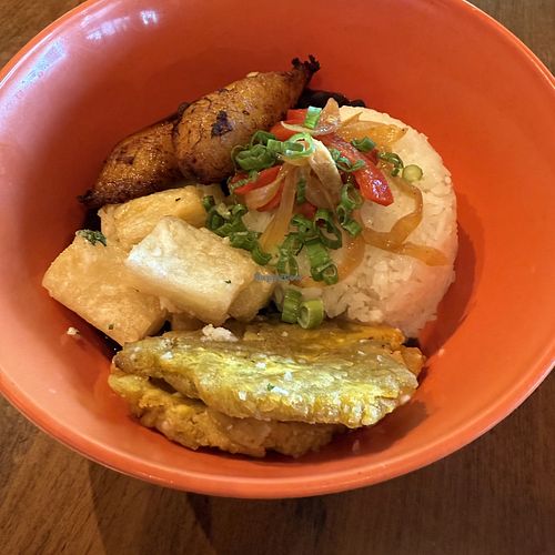 El Vegan Bowl: Rice and Beans, Sofrito, Plantains  at Jama Miami Cuban Food and Drink in Arvada