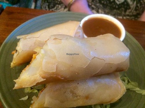 Spring rolls at Radhey Chai Bar in Fitzroy
