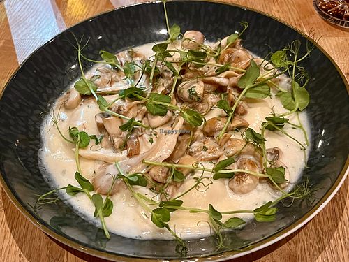 Wareniki mit Pilzen at Pivbar - Braunschweig in Braunschweig