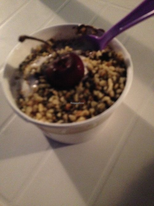 Vegan hot fudge sundae :D at Ice Cream Cafe in Orleans