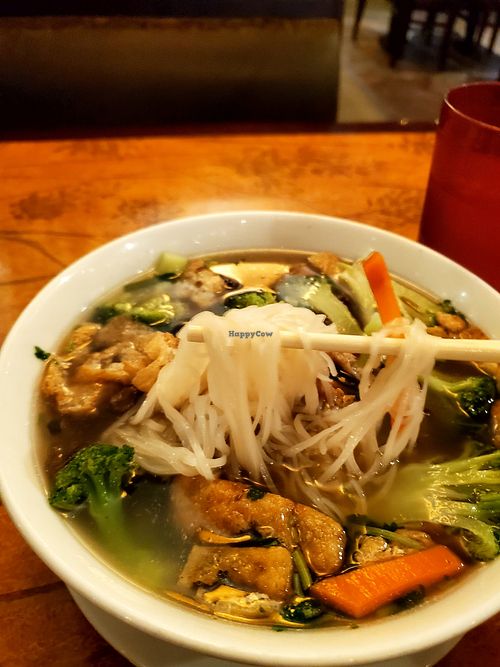 Vegan Pho at Pho 14 in Washington