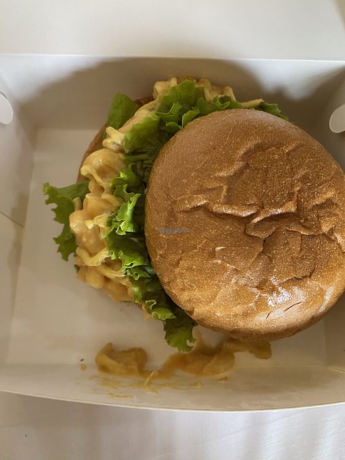 Burger with Mac  at Plant Theory Ubud by MIR Group in Bali