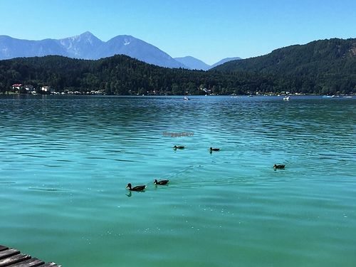 Loving Hut Klopeiner See at Loving Hut Pension in St Kanzian