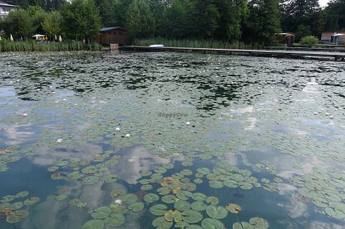 Lake Klopein at Loving Hut Pension in St Kanzian