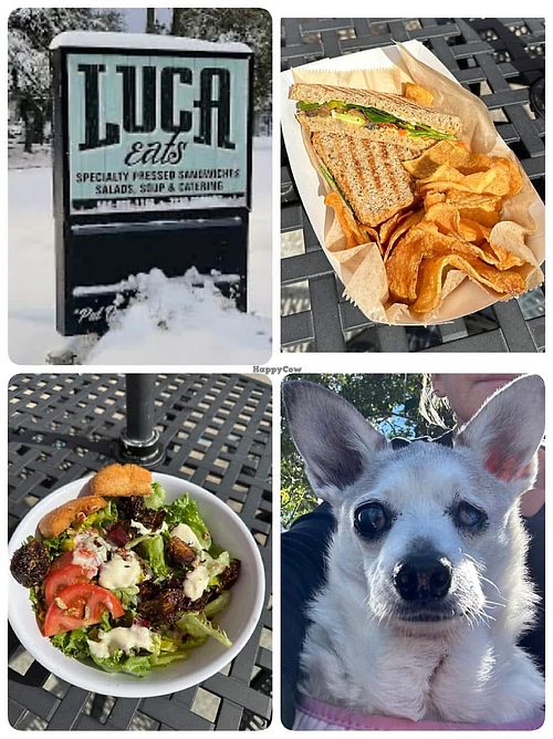 Vegan press & Brussels & beet saladd  at LUCA Eats in New Orleans