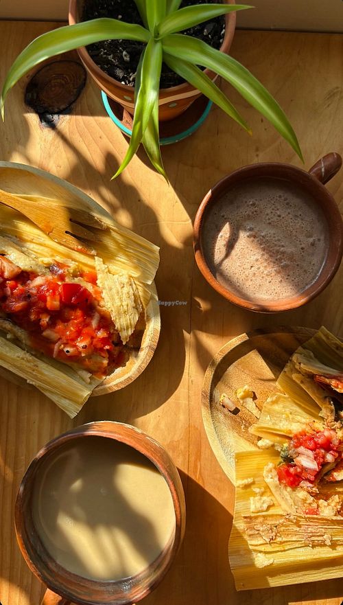  at Prophecy Chocolate in Morristown