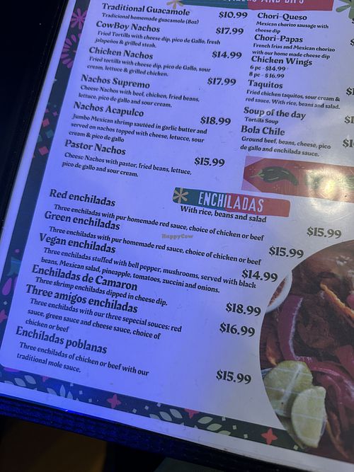 Menu: vegan enchiladas  at Three Amigos Mexican Grill Bar in Wilmington