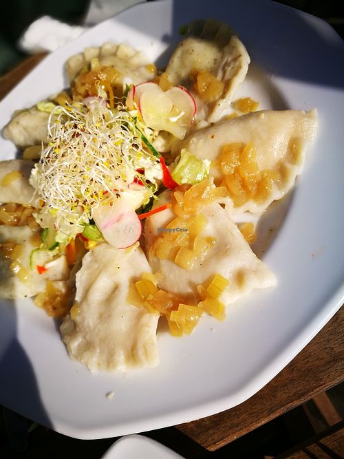 homemade pierogi's - a mixed plate at Vege Miasto in Warsaw