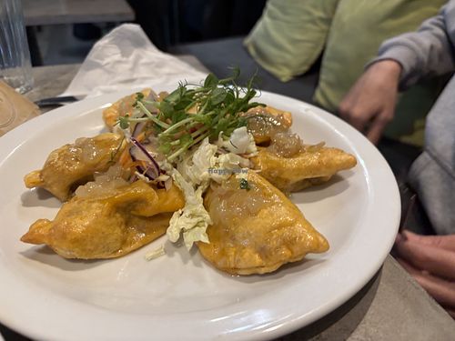 Lentils dumplings   at Vege Miasto in Warsaw