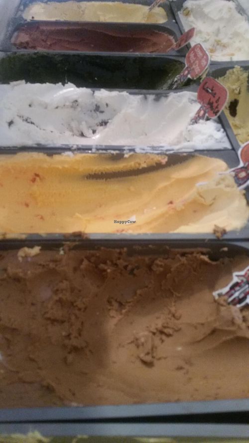 Vegan ice cream! at Itim Roi Ros (100 Flavors of Ice Cream) - ไอติม100รส in Chiang Mai