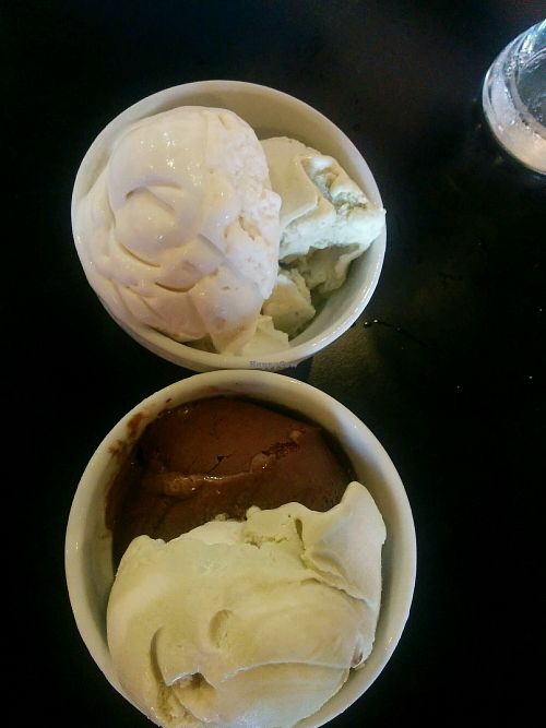 Vegan ice creams  at The Booch Bar in Hilo