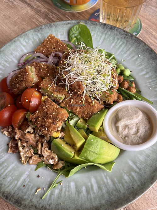 Reefs vegan bowl  at Reefs Cafe & Co in Willemstad