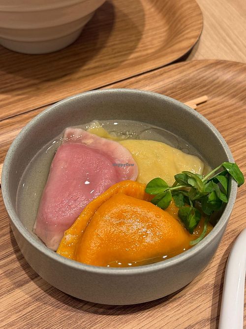 Gyozas tricolor  at T's TanTan Ecute Ueno in Taito City