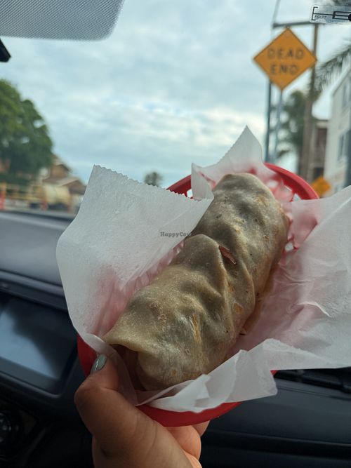 Mushroom burrito! Huge!   at The Taco Stand in Laguna Beach