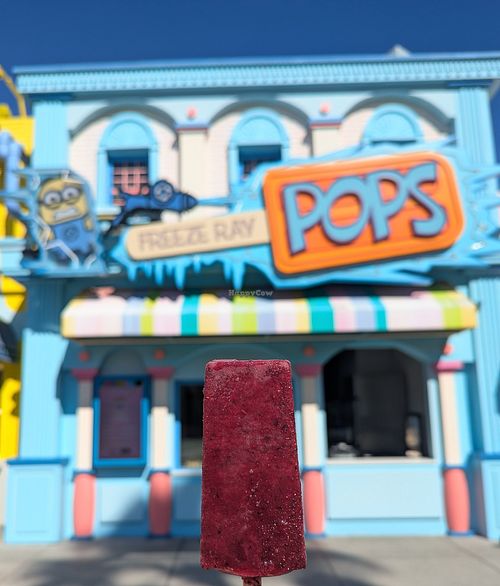 Blueberry Lemonade at Universal Studios - Freeze Ray Pops in Orlando