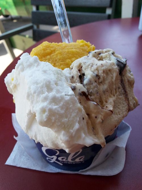 Mango, Coconut and Reese-style and of couse all vegan! at Gala Gelateria in Tel Aviv