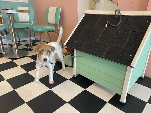  at Antons Milchbar in Aachen