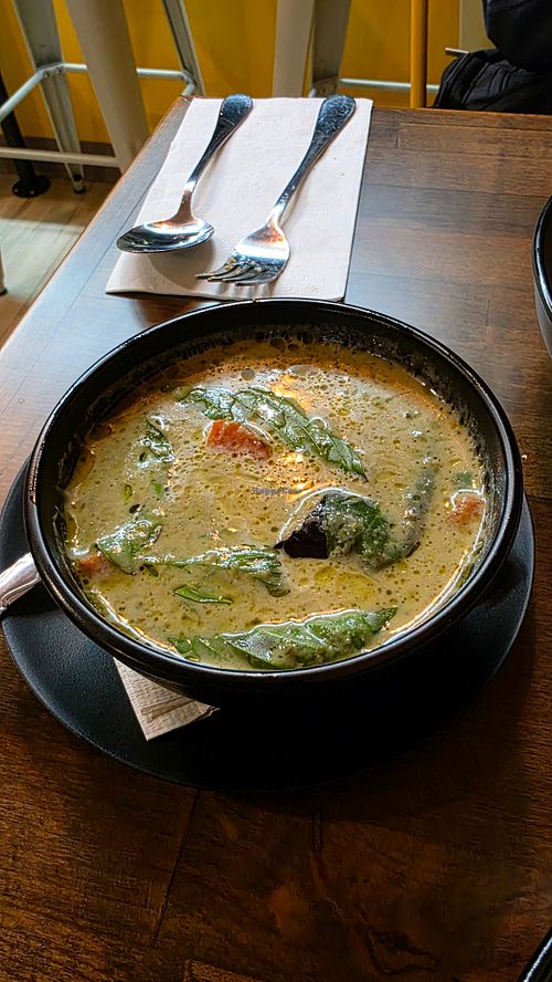 Green Curry at CoCoCurry - Thai Curry Cafe in San Diego