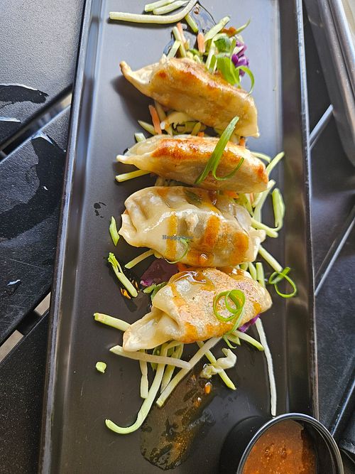 Pho mushroom potstickers at Great White Buffalo Brewing Co. in Northville