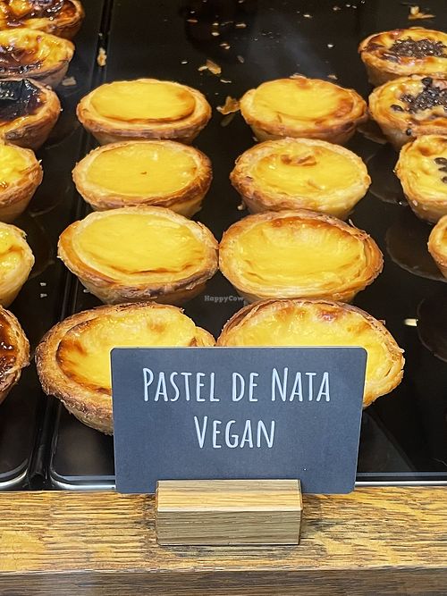   at Mister NATA in Noord-holland