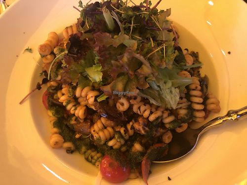 Seasonal menu: summer pasta - delicious! at Stadtwirtschaft Freiberg in Freiberg Saxony