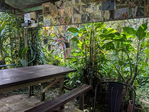 Setting at Mr. Deang's Shop in Chiang Mai