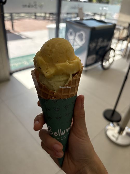 Maracuja and Avocado   at Belluno in Santa Catarina