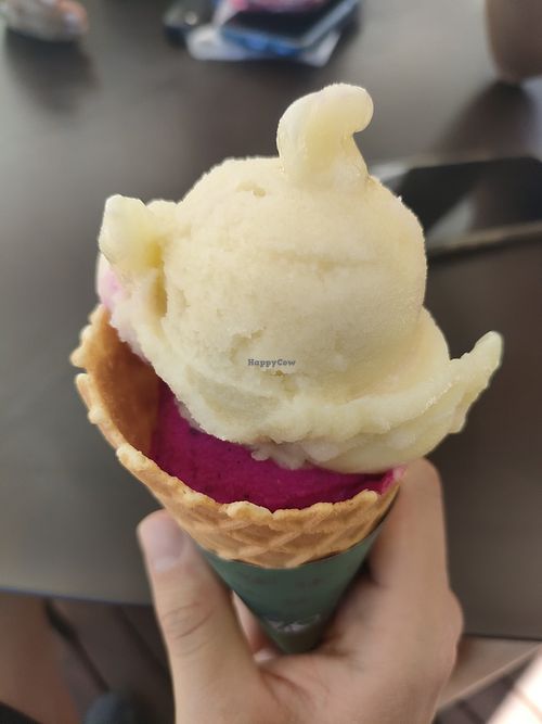  at Belluno in Santa Catarina