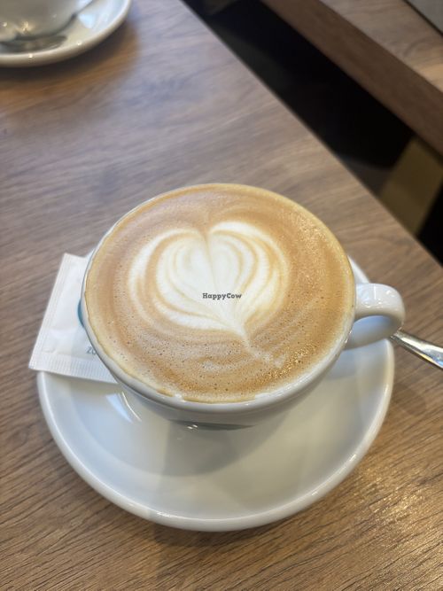 Cappuccino with coconut milkk  at Café Nova - Bonn in Nordrhein-westfalen