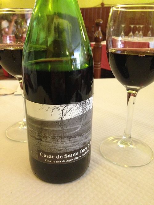 Organic wine at L'Union in Leon