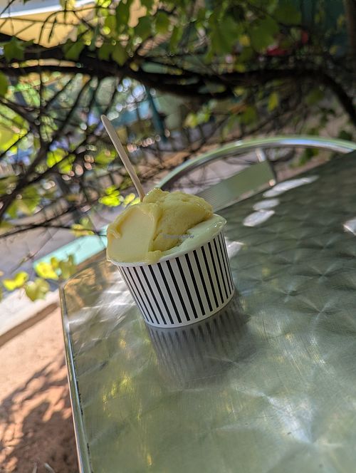 Yum at Gelarte, la Gelateria Italiana in Maputo