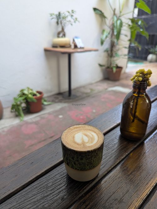 Flat white oat at Ritual Speciality Coffee in Maputo