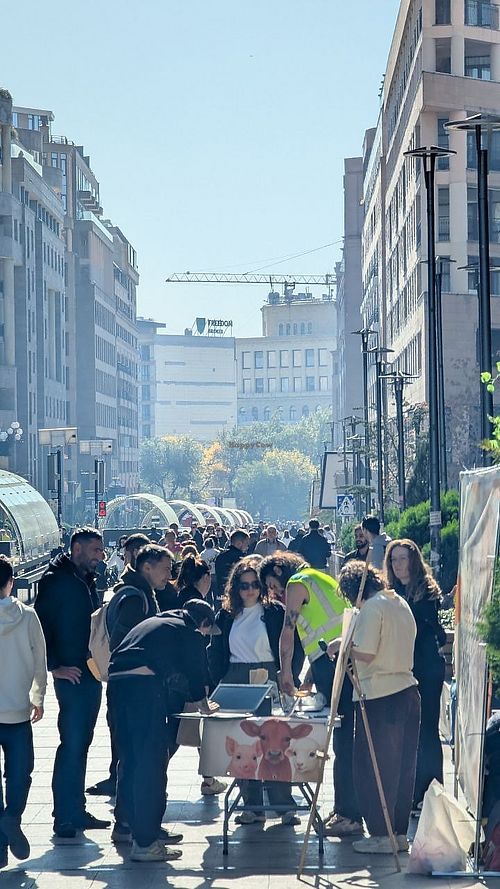 Vegan outreach at Yerkratsiner  in Yerevan