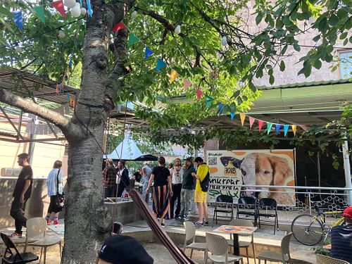 Vegan festival at Yerkratsiner  in Yerevan