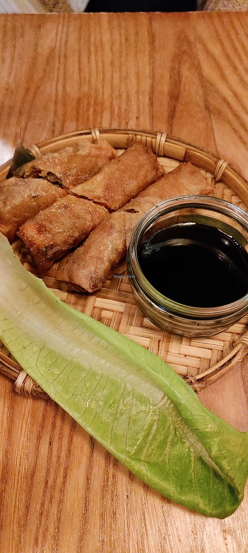 Giant tofu and vegetable spring rolls at The Saigon Kitchen in Bristol